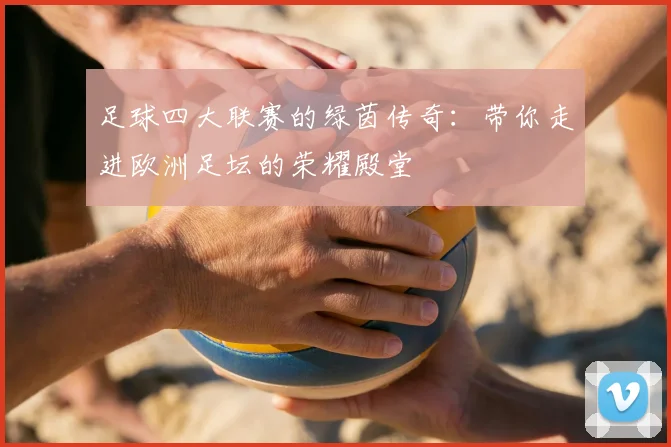 足球四大联赛的绿茵传奇：带你走进欧洲足坛的荣耀殿堂