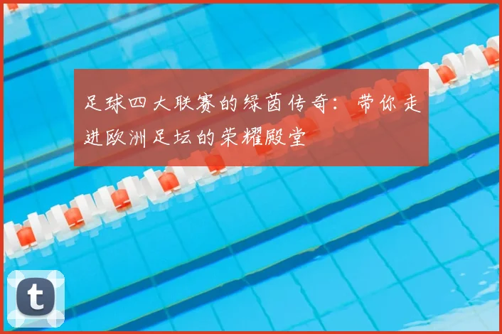 足球四大联赛的绿茵传奇：带你走进欧洲足坛的荣耀殿堂