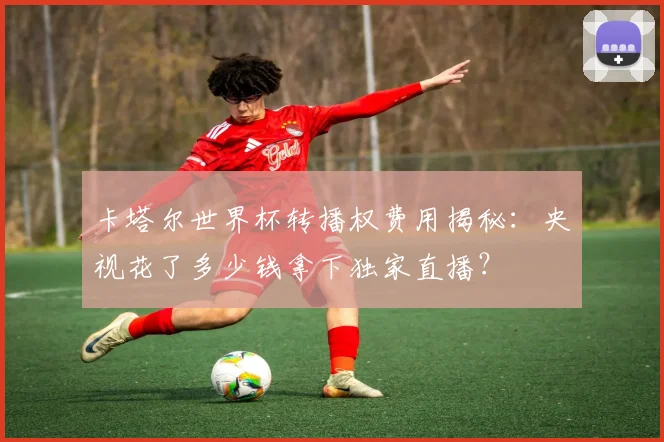 卡塔尔世界杯转播权费用揭秘：央视花了多少钱拿下独家直播？